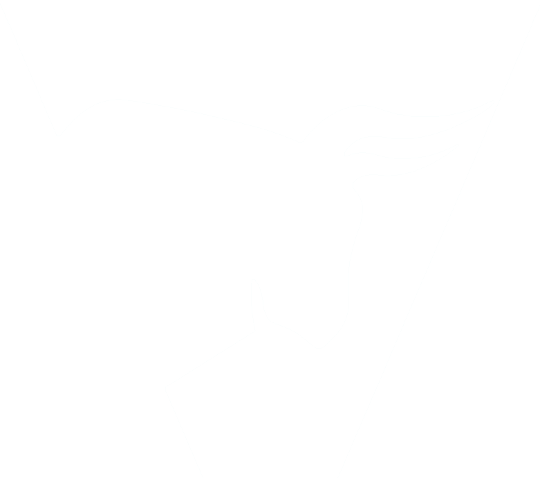 The house from the offer.